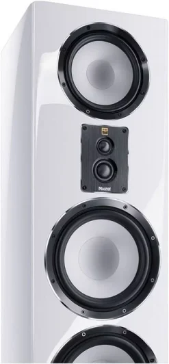 Magnat Lautsprecher - Signature 909 (weiss) -Klipsch Shop a114661 637941756986405785 700x700 vcenterhcenter.jpeg