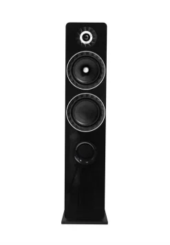 Elipson Lautsprecher - Prestige Facet 14F 2.5 Wege (1Stk.) (schwarz) -Klipsch Shop a117339 637998781487209274 700x700 vcenterhcenter.jpeg