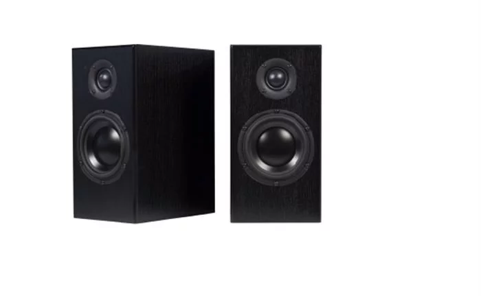 TOTEM Acoustic Lautsprecher - Bison Monitor (schwarz) 3 TOTEM Acoustic Lautsprecher - Bison Monitor (schwarz)