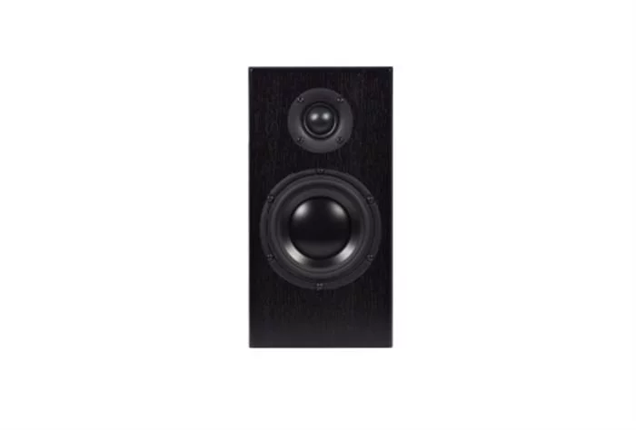 TOTEM Acoustic Lautsprecher - Bison Monitor (schwarz) 4 TOTEM Acoustic Lautsprecher - Bison Monitor (schwarz) – Bild 2