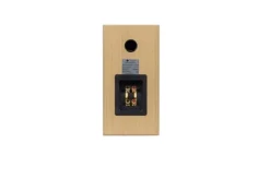 TOTEM Acoustic Lautsprecher - Bison Monitor (eiche) -Klipsch Shop a122487 638140484056325587 700x700 vcenterhcenter.jpeg