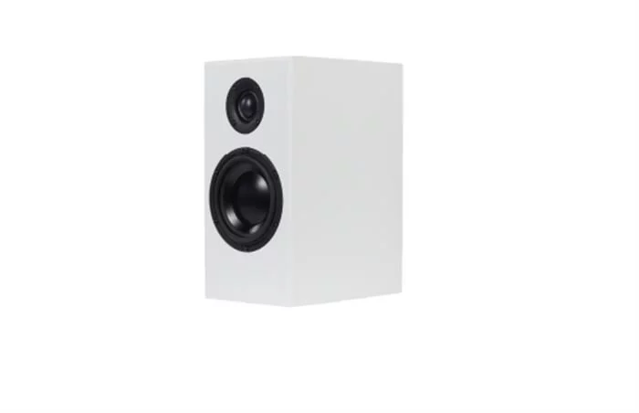 TOTEM Acoustic Lautsprecher - Bison Monitor (satin Weiss) 5 TOTEM Acoustic Lautsprecher - Bison Monitor (satin Weiss) – Bild 3