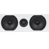 TOTEM Acoustic Lautsprecher - Bison Center (satin Weiss) -Klipsch Shop a122954 638162798552707829 700x700 vcenterhcenter.jpeg
