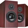TOTEM Acoustic Lautsprecher - Mani-2 Signature (mahagoni) -Klipsch Shop a31535 636531656695942531 700x700 vcenterhcenter.jpeg