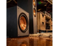 Klipsch Subwoofer - R-120SW Black (black) -Klipsch Shop a43767 636740789929266519 700x700 vcenterhcenter.jpeg