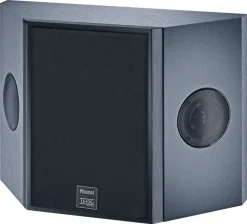 Magnat Lautsprecher - Cinema Ultra RD 200 - THX (schwarz) -Klipsch Shop a53031 637031819992295086 700x700 vcenterhcenter.jpeg