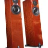 TOTEM Acoustic Lautsprecher - Forest Signature Hochglanz (kirsch) -Klipsch Shop a55057 637045950021020298 700x700 vcenterhcenter.jpeg