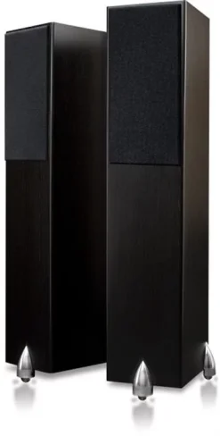 TOTEM Acoustic Lautsprecher - Forest (schwarz) -Klipsch Shop a79092 637431276403068841 700x700 vcenterhcenter.jpeg